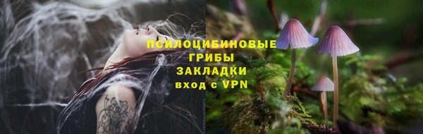 шишки Алзамай