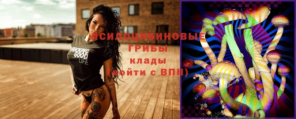 герыч Алексин