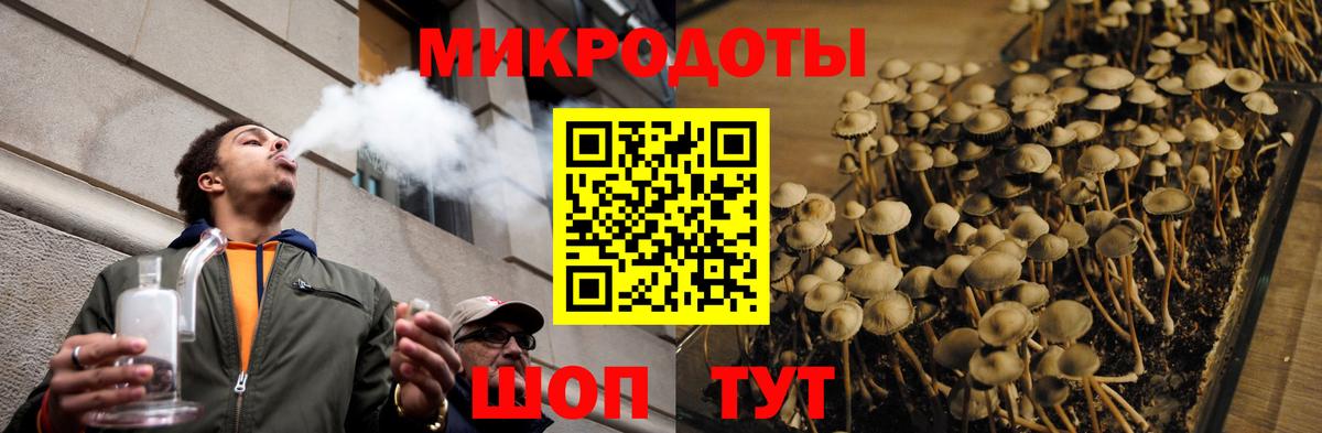Владимир  Галлюциногенные грибы Cubensis  Вход с VPN  Галлюциногенные грибы прущие грибы 